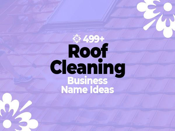 499-catchy-memorable-roof-cleaning-business-names