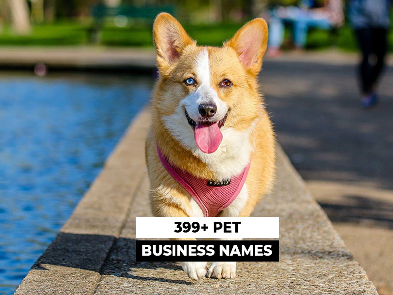 499-unique-catchy-pet-business-names