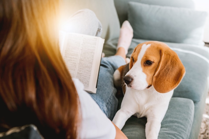 Cute Female Dog Names
