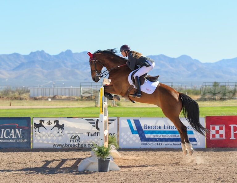 Horse Business Names Ideas